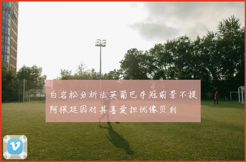 白岩松分析法英葡巴夺冠前景不提阿根廷因对其喜爱担忧像贝利